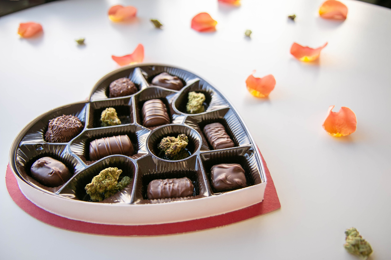Marijuana buds in a heart shaped, valentine's day chocolate box on a white background with rose petals and cannabis buds