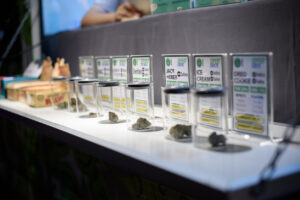 Cannabis sample are displayed in a pop up truck in a nightlife area in Bangkok Thailand